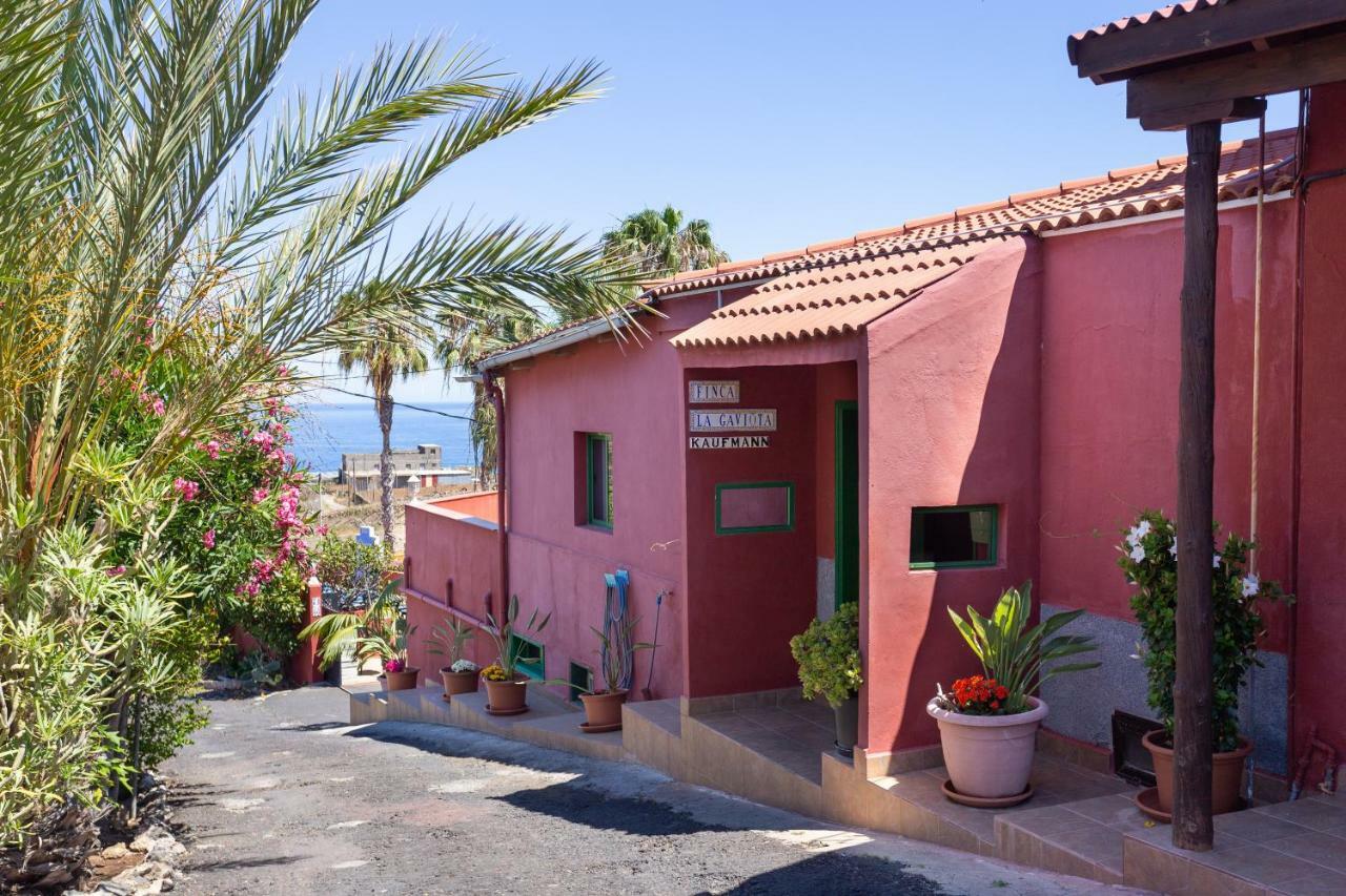 Finca La Gaviota - El Granito Icod De Los Vinos Exterior foto